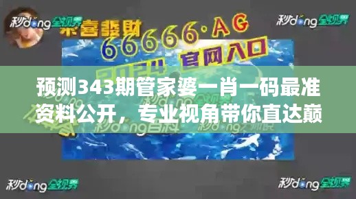 预测343期管家婆一肖一码最准资料公开，专业视角带你直达巅峰