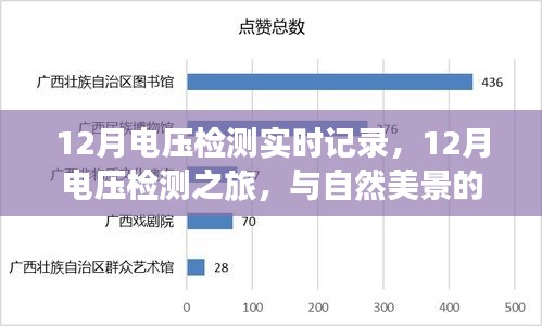 2024年12月15日 第26页