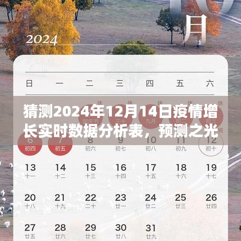 2024年12月15日 第24页