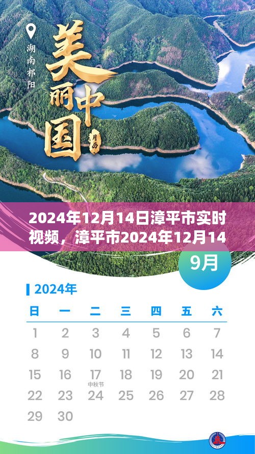 2024年12月15日 第23页