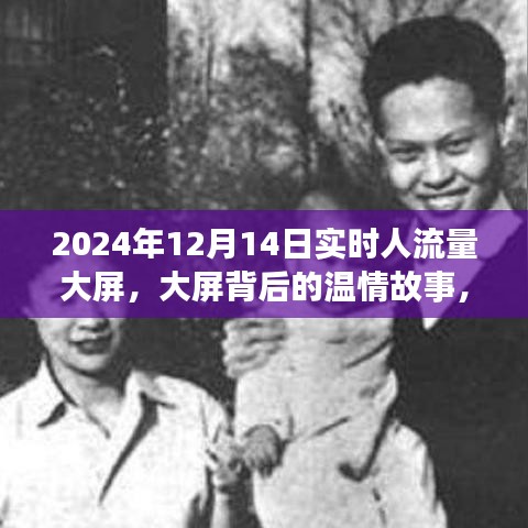 大屏背后的温情故事，实时人流量下的特别陪伴时光（2024年12月14日）