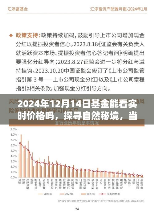 探寻自然秘境与基金实时价格之旅，一场心灵与财富的奇妙交融