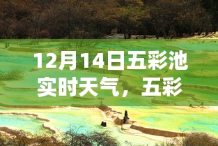 五彩池畔冬日暖阳，12月14日实时天气报告