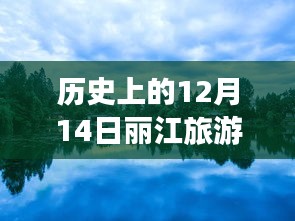 2024年12月15日 第20页