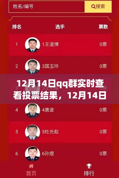 12月14日QQ群实时投票结果查看功能深度评测与介绍