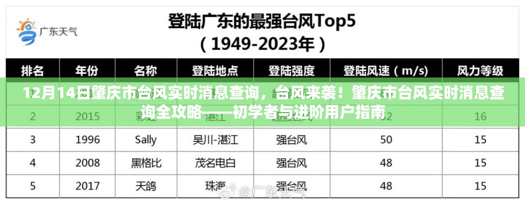 肇庆市台风来袭实时消息查询全攻略，初学者与进阶指南（台风实时消息查询）