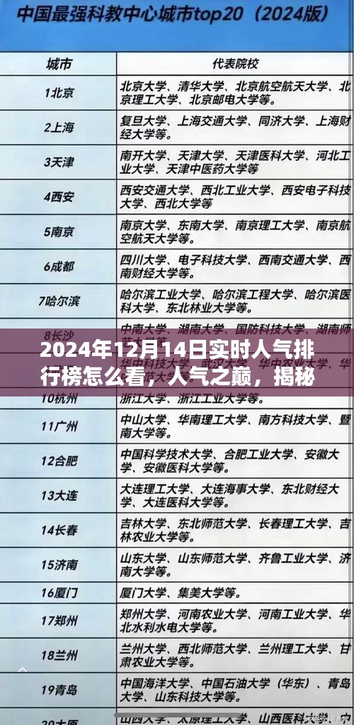 揭秘2024年实时人气排行榜，如何洞察人气之巅与排行榜背后的奥秘与影响？