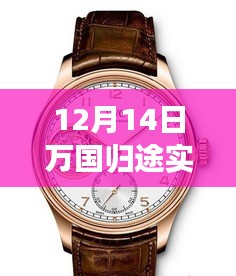 12月14日万国归途实时票房深度解析，表现、特性、体验、竞品对比及用户群体全面剖析