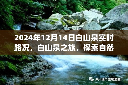 白山泉之旅，探索自然美景，实时路况更新与内心平静的追寻