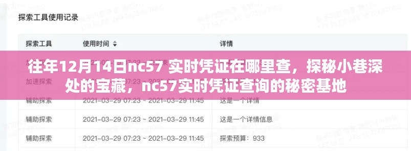 探秘往年12月14日nc57实时凭证查询的秘密基地，小巷深处的宝藏大揭秘