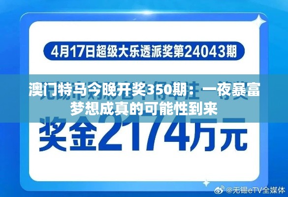 2024年12月15日 第13页