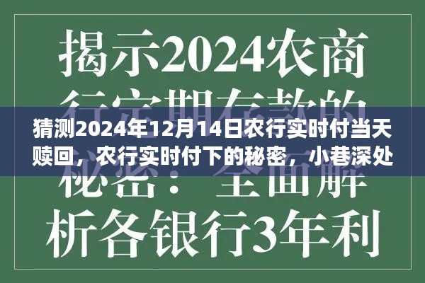 农行实时付，揭秘特色赎回与小巷深处的秘密小店探秘