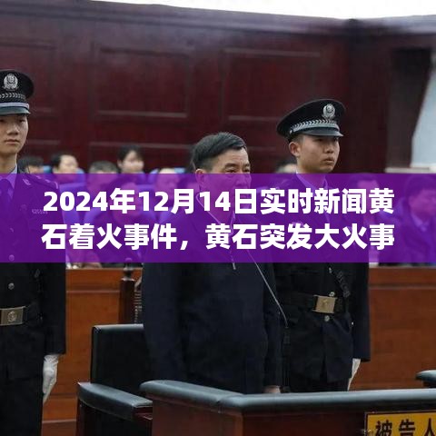 黄石大火突发，全面解读2024年12月14日实时新闻。