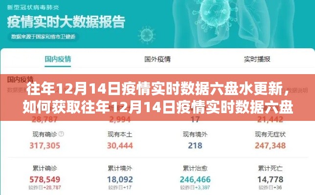 往年12月14日六盘水疫情实时数据更新指南，获取步骤详解