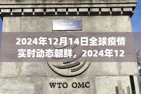 聚焦朝鲜，全球疫情实时动态与防控进展、挑战及未来展望