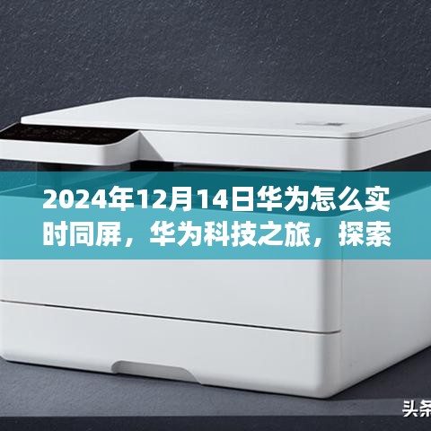 华为科技之旅，实时同屏探索自然美景的宁静之旅（2024年12月14日）