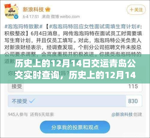 历史上的12月14日，青岛公交实时查询系统的变迁与影响