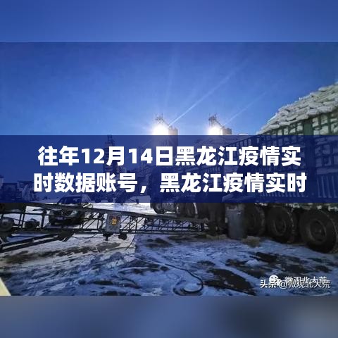 黑龙江历年12月14日疫情实时数据深度回顾与数据分析焦点关注