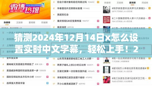 2024年12月14日实时中文字幕设置全攻略，初学者与进阶用户均可轻松上手