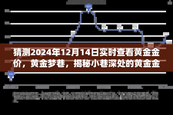 揭秘黄金梦巷，黄金金价预测小站实时查看，预测未来黄金走势（2024年12月14日）