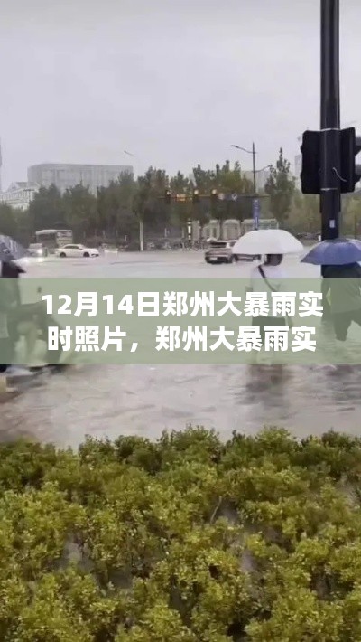 郑州大暴雨实时照片记录，雨幕下的城市拍摄指南