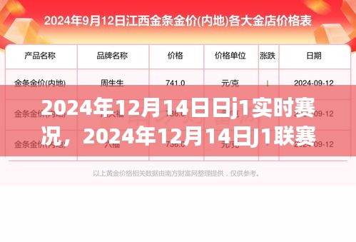 2024年12月14日J1联赛实时赛况深度解析与某某观点探讨