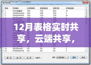 揭秘云端共享科技产品，十二月实时表格共享重塑工作效率与生活品质！