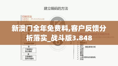 新澳门全年免费料,客户反馈分析落实_战斗版3.848