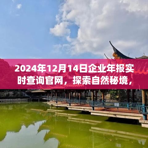 探索自然秘境，启程寻找内心宁静与平和，企业年报实时查询官网，开启您的2024年报查询之旅