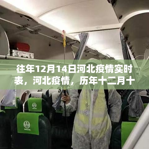 历年十二月十四日河北疫情深度回顾与影响分析，实时数据报告及观察报告