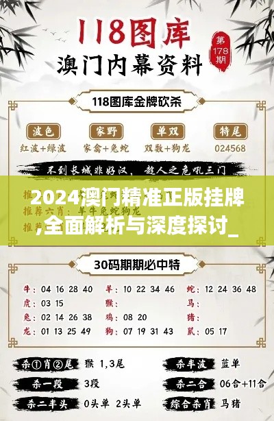 2024澳门精准正版挂牌,全面解析与深度探讨_专业版6.453