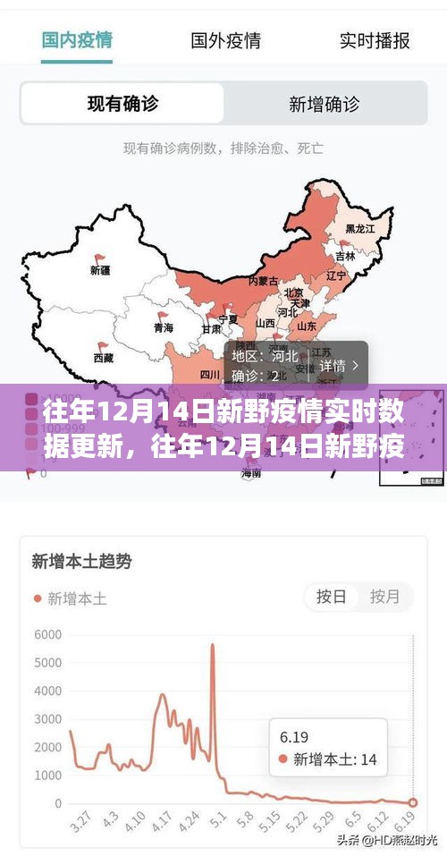 往年12月14日新野疫情实时数据更新深度观察与解析