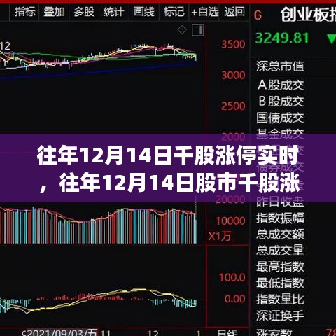 回顾往年12月14日股市千股涨停盛况，市场走势分析与策略解读