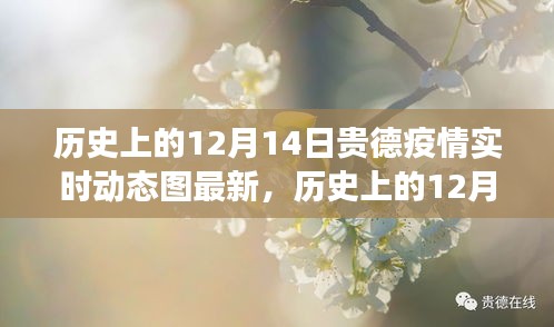 历史上的12月14日贵德疫情实时动态图最新解读与更新