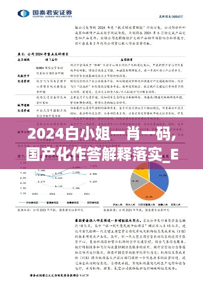 2024白小姐一肖一码,国产化作答解释落实_Elite9.945