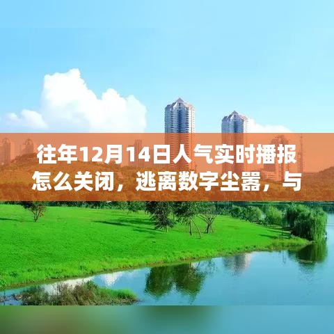 如何关闭人气实时播报，寻找自然美景之旅，逃离数字尘嚣的指南