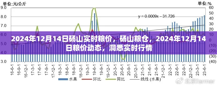 砀山实时粮价动态，洞悉行情，掌握未来