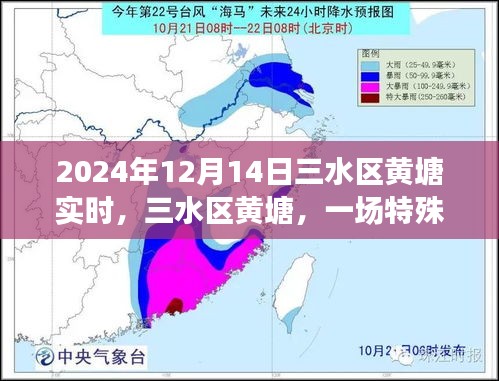 三水区黄塘，特殊时刻的回顾与记录（2024年12月14日）