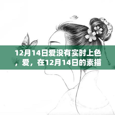 12月14日素描中的无声之爱，悄然上色的浪漫情感