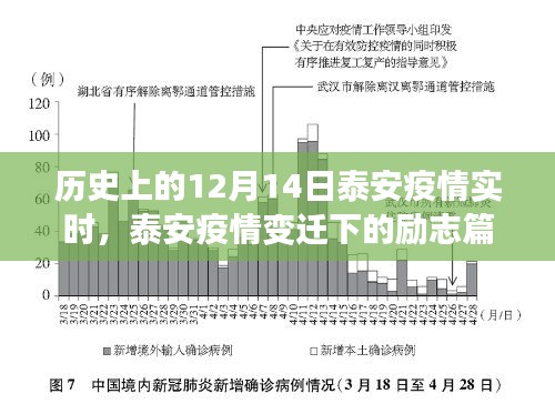 泰安疫情变迁下的励志篇章，学习之光照亮未来之路的抗疫历程