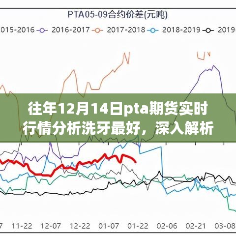 往年12月14日PTA期货实时行情深度解析与洗牙产品体验报告