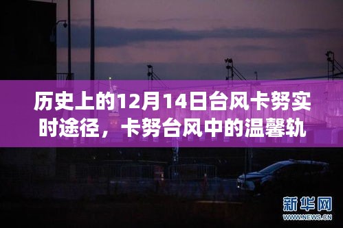 卡努台风中的温情轨迹，友情与陪伴的故事，历史记录下的温馨瞬间