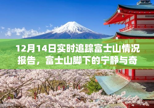 2024年12月16日 第6页