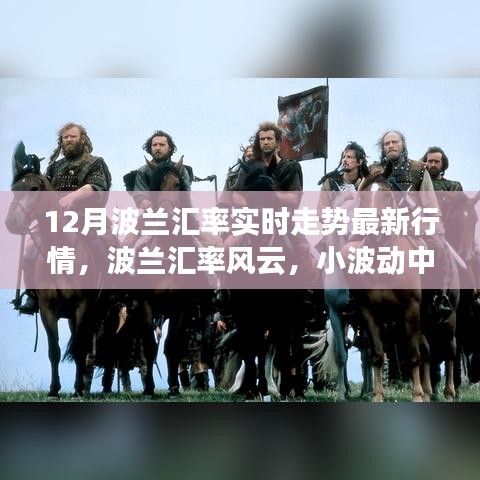 12月波兰汇率实时走势揭秘，小波动背后的温情与风云