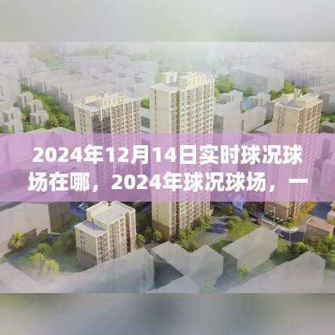 历史与未来的交汇，揭秘2024年球况球场实时动态与地点