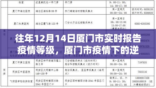 厦门市疫情逆袭之路，学习之光照亮前行之路的实时报告