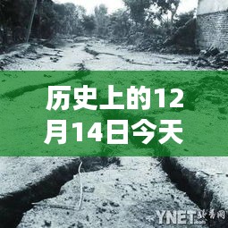 河北路况实时播报，科技引领未来，今日路况尽在掌控——历史上的12月14日路况播报