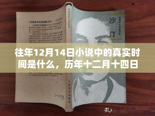 历年十二月十四日小说中的时间深度解析，特性、体验、竞品对比与用户群体分析