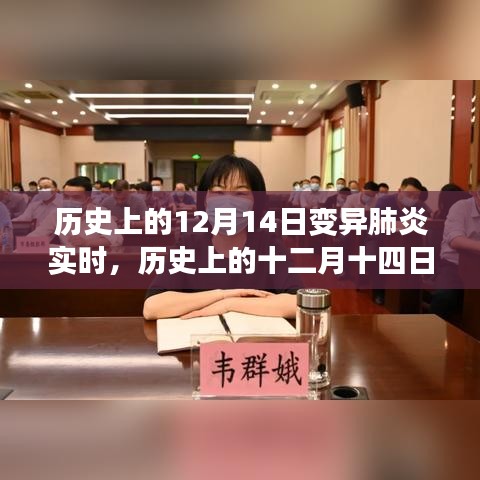 历史上的十二月十四日，变异肺炎背后的励志故事与成长力量实时追踪