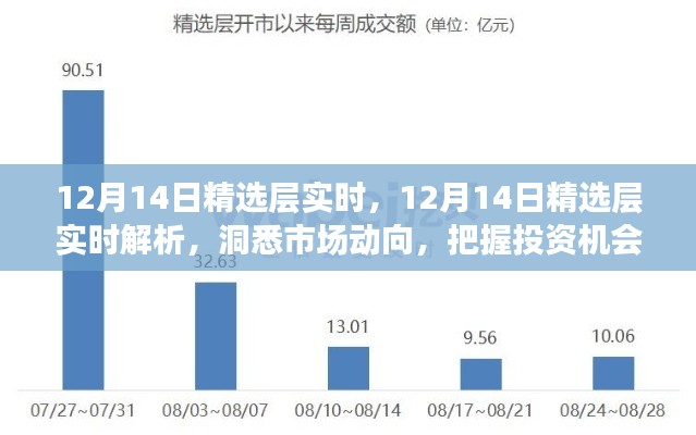 12月14日精选层实时解析，洞悉市场脉动，精准把握投资机会